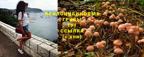 соль курить ск Видное