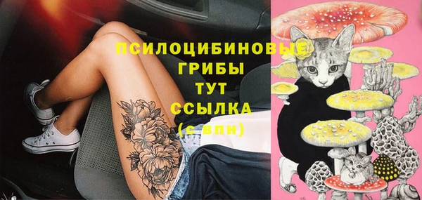 синтетический гашиш Осташков
