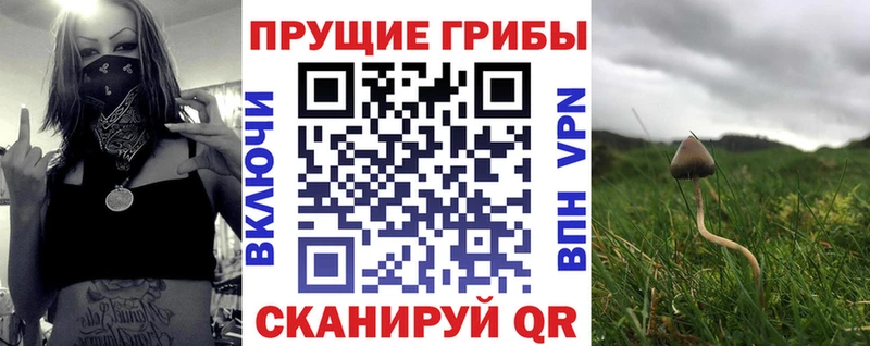 Псилоцибиновые грибы ЛСД магазин hydra сайт Агрыз