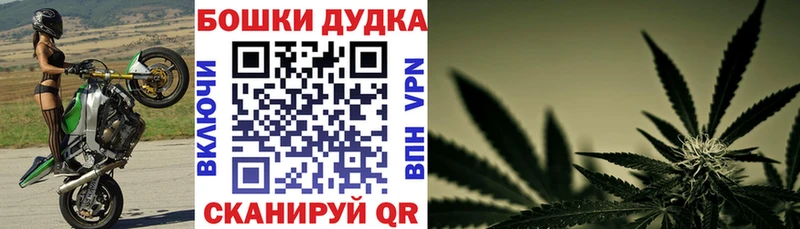 Бошки Шишки планчик  купить наркоту  Агрыз 